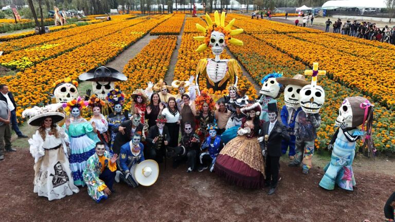 68f2ba79be7d8780395598