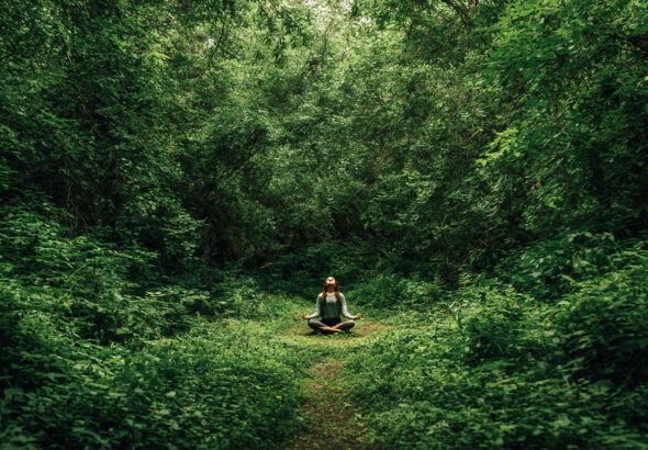 un_bosque_verde_y_frondoso_con_un (1)