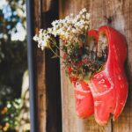 pexels-silvia-trigo-545701-1296199