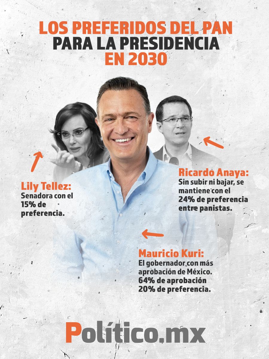 WhatsApp Image 2026-02-19 at 17.13.46 b