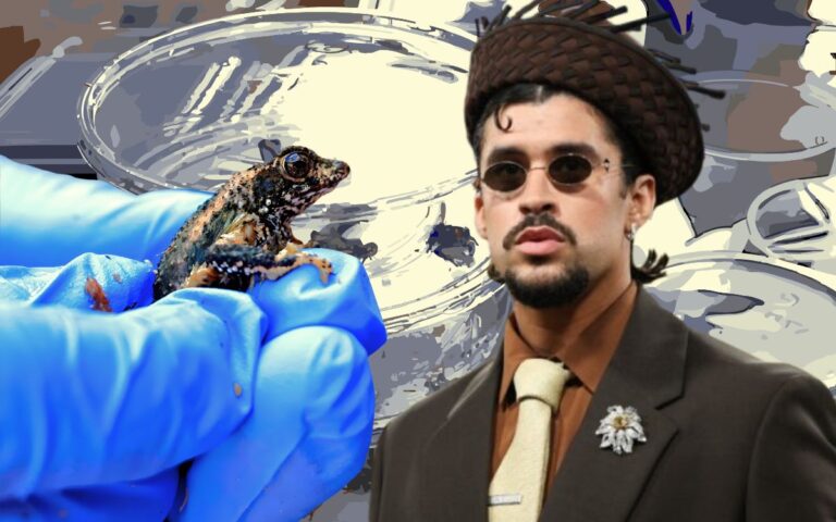 bad-bunny-sapo-cacho-concho-141025